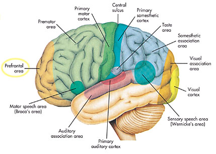 Figure 12 (Click here to enlarge)