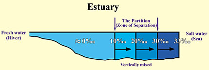 Figure 14 (Click here to enlarge)