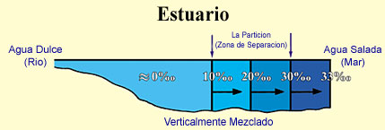 Figura 14 (Haga click aquí para agrandar la imagen)