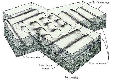 Gambar 16. Ombak dalam pada batas pertemuan dua lapisan air yang berbeda kepekatan. Satu lapisan pekat (di bawah) dan yang lainnya lebih encer (di atas). (Oceanography, Gross, hal. 204)
