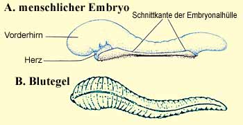 Abbildung 1