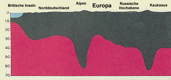 Abbildung 8 (Gross)