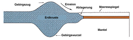 Abbildung 9 (Gross)