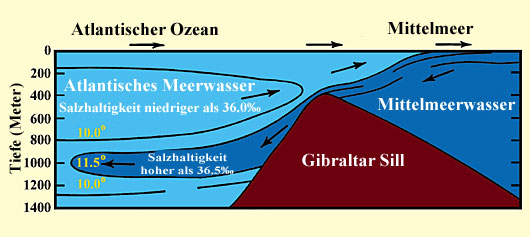 Abbildung 13 (Gross)