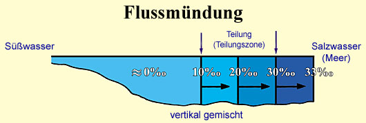 Abbildung 14 (Gross)