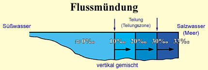 Abbildung 14 (Klicken Sie hier, um es zu vergrern)