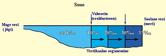 Joonis 14 (Suur)