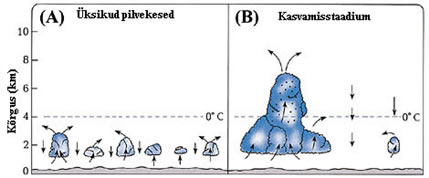 Joonis19 (Suurendamiseks vajuta pildile)