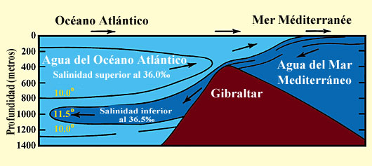 Figura 13 (Amplificada)