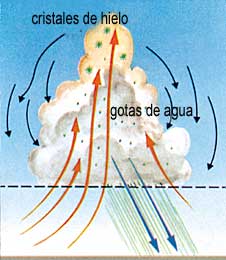 Figura 20