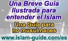 Una Breve Gua Ilustrada para entender el Islam ( Banner pequeo)