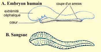 Illustration 1