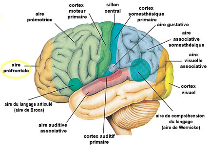 Illustration 12 (Cliquez ici pour agrandir)