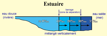 Comprendre le langage du Coran Ch1-1-e-img2