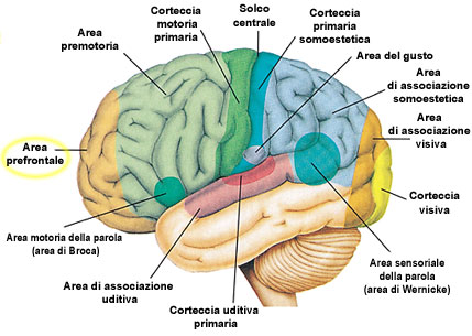 Figura 12 (Fare clic qui per ingrandire)