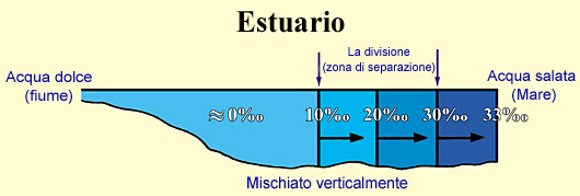 Figura 14 (Grande)