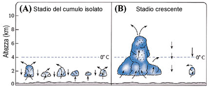 Figura 19 (Fare clic qui per ingrandire)