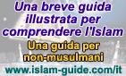 Una breve guida illustrata per comprendere l'Islam (Banner piccolo)