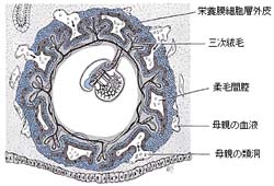 図2  (ここをクリックして拡大する)