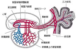 図4  (ここをクリックすると拡大する)