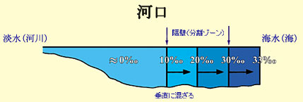 }14 (NbNĊg傷)Figure 14 (Click here to enlarge)