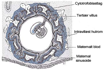 Figure 2  (Click here to enlarge)