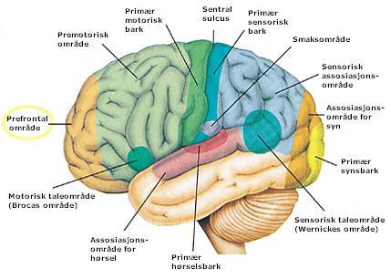 Figure 12 (Click here to enlarge)