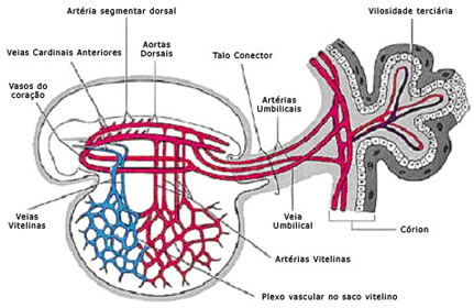 Figure 4 (Large)