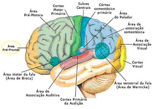 Figure 12 (Large)