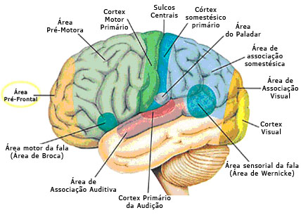 Figure 12 (Click here to enlarge)