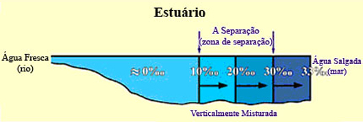 Figure 14 (Large)