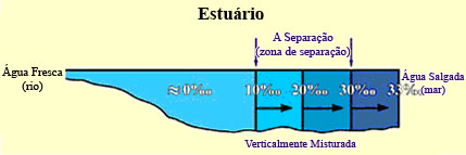 Figure 14 (Click here to enlarge)