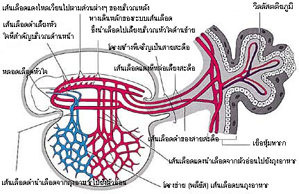 Figure 4 (Large)