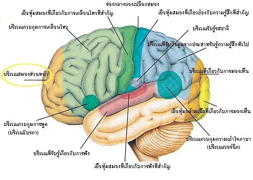 Figure 12 (Large)