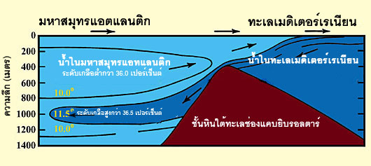 Figure 13 (Large)