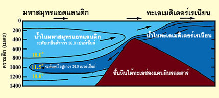 รูปที่ 13 (คลิกที่รูปภาพเพื่อขยายใหญ่)