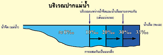 Figure 14 (Large)