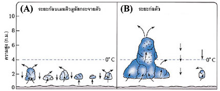 รูปที่ 19 (คลิกที่รูปภาพเพื่อขยายใหญ่)