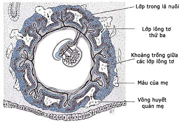 Figure 2 (Large)