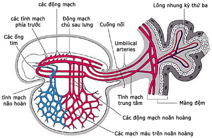 Figure 4 (Large)