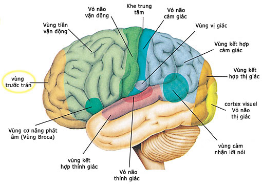 Figure 12 (Large)