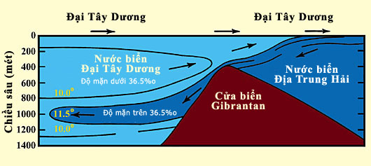 Figure 13 (Large)