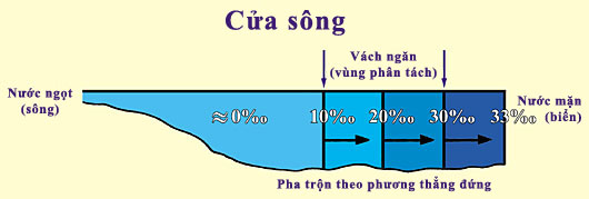 Figure 14 (Large)