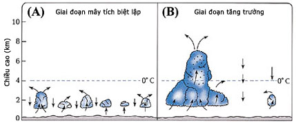 Figure 19 (Click here to enlarge)